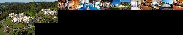 Orea Hotel Fontana I