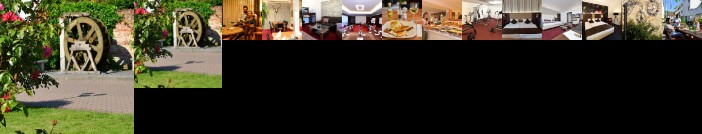Lobinger Hotel Weisses Ross Langenau
