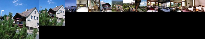 Hotel Waldfrieden Sankt Andreasberg