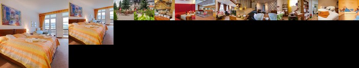 Hotel Wettiner Hohe