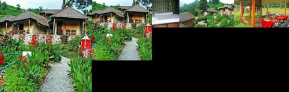 The Chardham Camp Barkot Uttarkashi