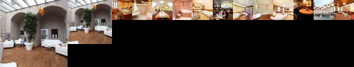 Zlata Hvezda Hotel Trebon