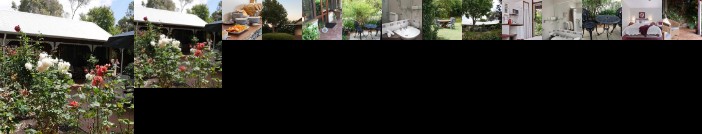 The Noble Grape Guest House