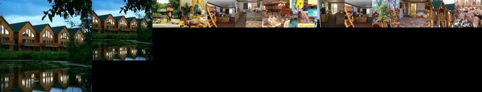 Grizzly Jack's Grand Bear Resort