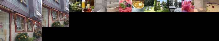 Harzhotel Regina Braunlage