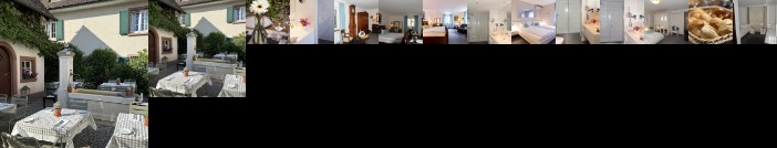 Hotel Adler Weil am Rhein