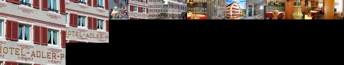 Hotel Adler-Post
