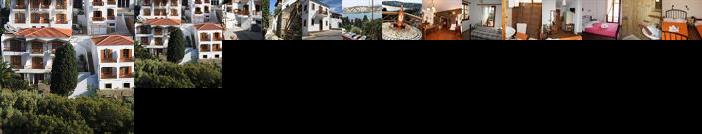 Amorani Studios