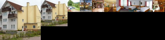 Gasthaus & Pension Zum Hirsch
