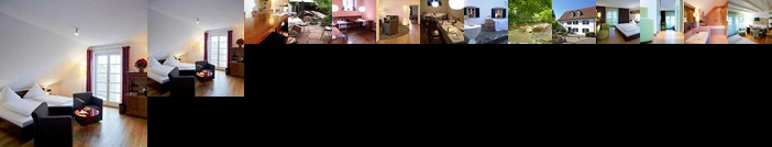 Traube Hotel & Restaurant Efringen-Kirchen
