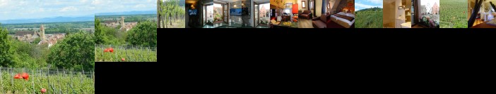 Hostellerie du Chateau Eguisheim