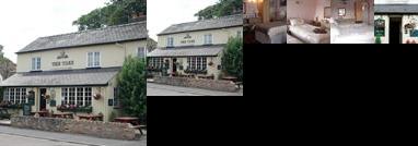 The Tree Guest House