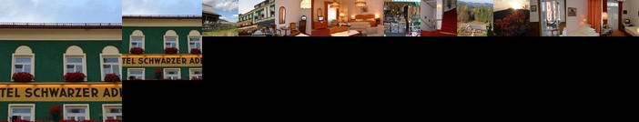 Hotel Schwarzer Adler Mariazell