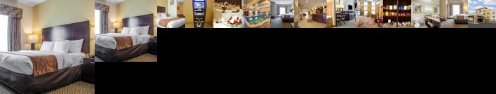 Comfort Suites Cicero