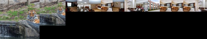 Days Inn Yankee Stadium Bronx
