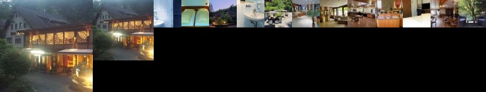 Siegerland-Hotel Haus im Walde