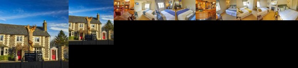 The Cadogan Arms Bed and Breakfast Bury St. Edmunds