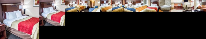 Comfort Inn & Suites Ozone Park