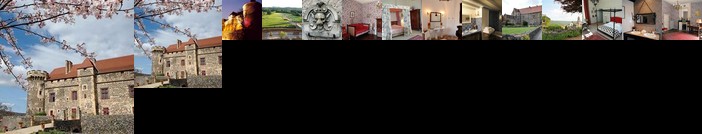 Chateau Royal de Saint Saturnin