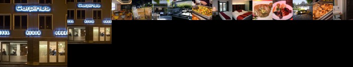Carpinus Hotel Herent