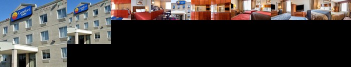 Comfort Inn East Elmhurst New York City