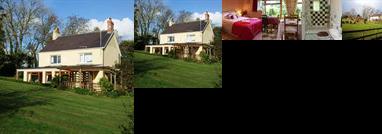 Gilfach Farmhouse Bed & Breakfast St Clears