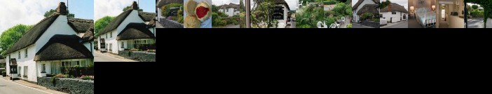 Southern Cross Guest House Newton Poppleford
