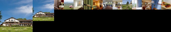 Le Clos Saint Vincent