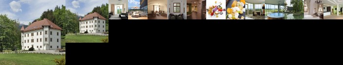 Hotel and Manor Drnca