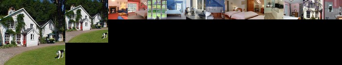 Ty Derw Country House Bed & Breakfast Machynlleth