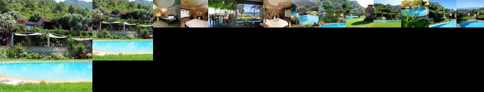 Antik Zeytin Bio Hotel Golturkbuku