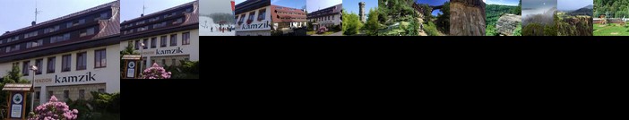 Pension Kamzik Ceska Kamenice
