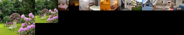 Kurpension Landhaus Wolfel Bad Steben