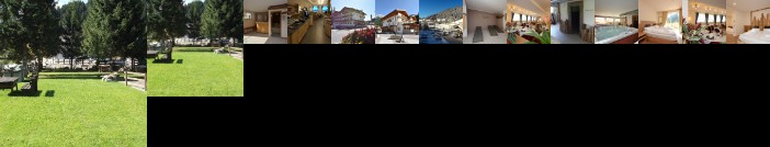 Park Hotel Avisio