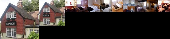 The Red Lion Hotel Betchworth