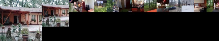 Pension Forest Mirage