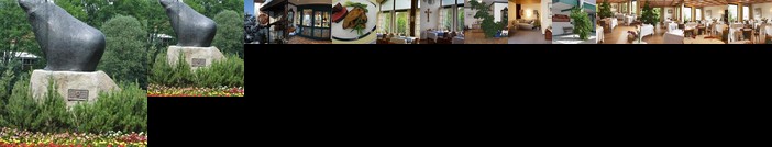 Saumerhof Hotel Grafenau