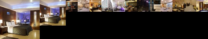 SLV Business Hotel