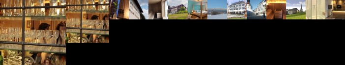Puchtler Gasthof Deutscher Adler und Kurhotel