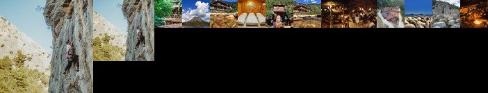Kadir's Top Tree House