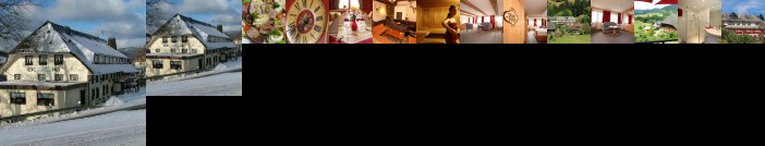 Hotel Landgasthof Adler
