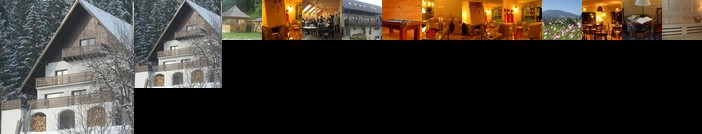 Bucovina Lodge Pension Vama