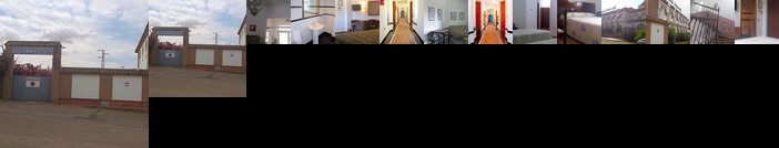 Hotel Palmero Carmona
