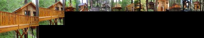 Vertical Horizons Treehouse Paradise