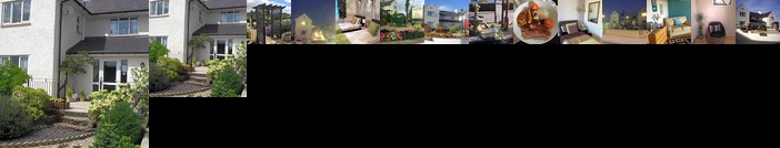 Maple Tree Guesthouse