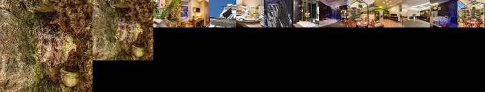 Hotel Trevi Collection