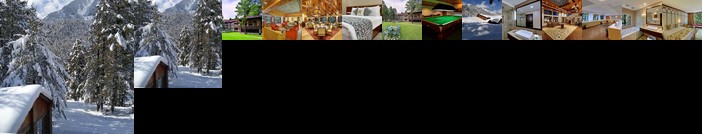 Hotel Senator Pine-n-Peak Pahalgam