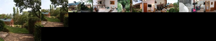 The Paddock B&B Tilston