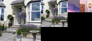Rose Cottage Bed and Breakfast Launceston (England)
