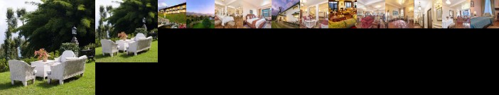 Elgin Mount Pandim Pelling